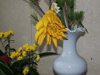 ��������k�̉ʎ��c